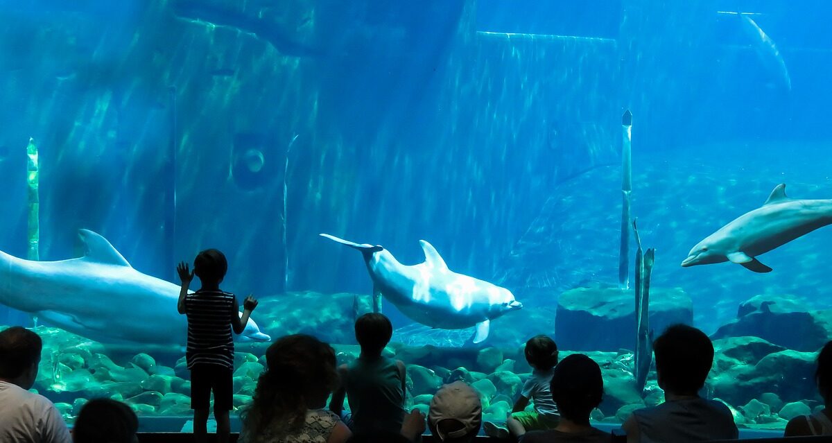 5 Top Most Largest Aquariums in the World