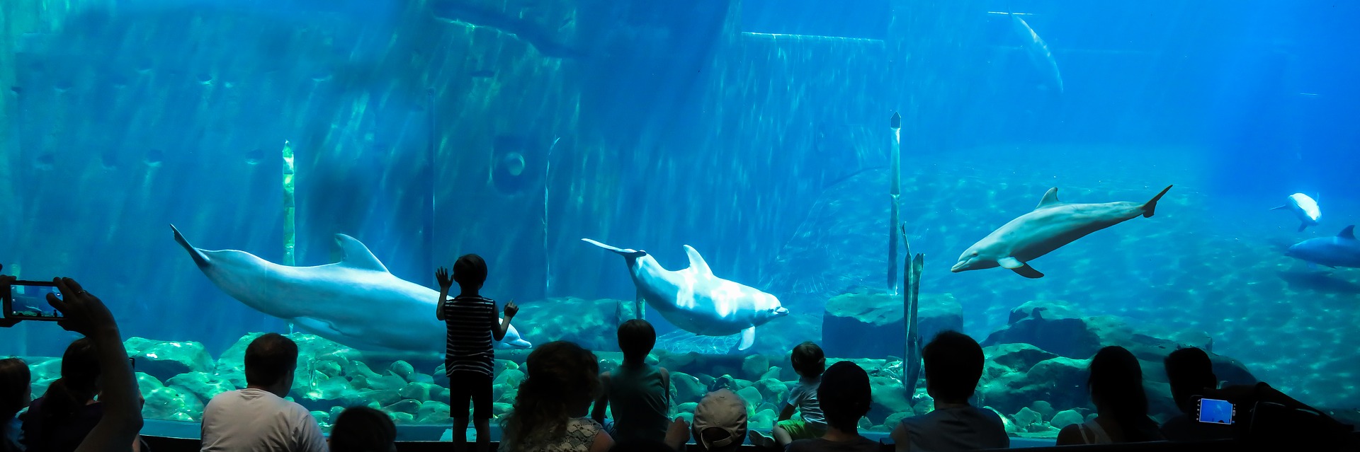 5 Top Most Largest Aquariums in the World